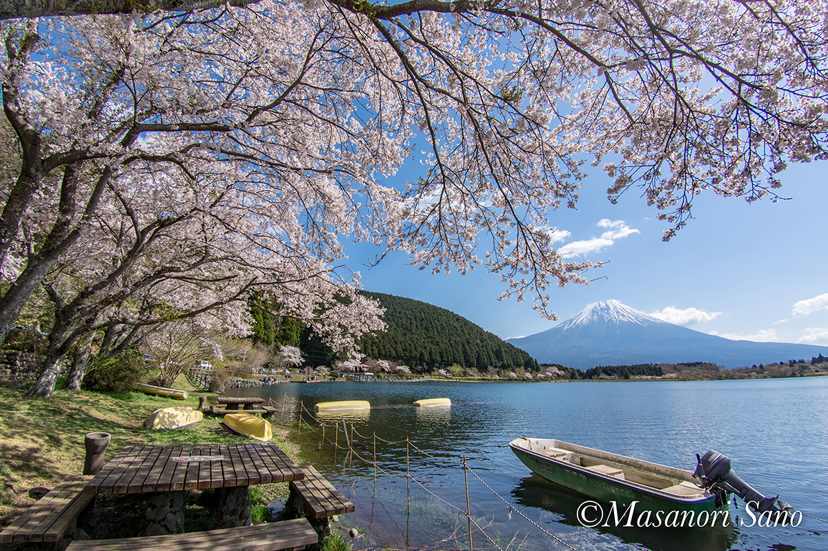 田貫湖北